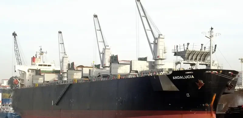 ANDALUCIA Bulk Carrier IMO 9370745 photo 6