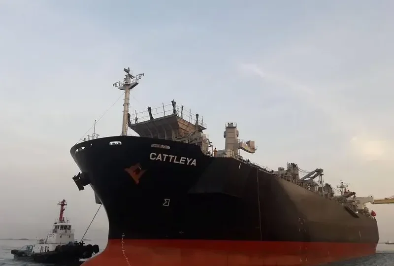 CATTLEYA Bulk Carrier IMO 9370757