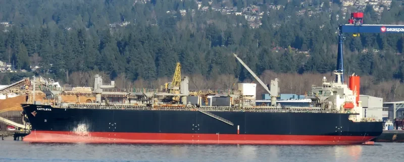 CATTLEYA Bulk Carrier IMO 9370757 photo 4