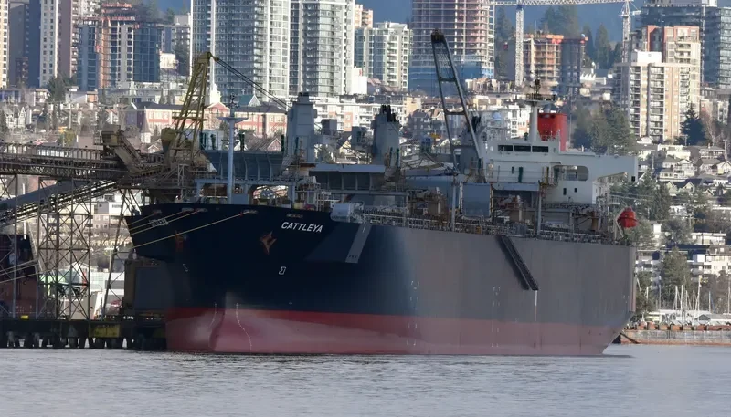 CATTLEYA Bulk Carrier IMO 9370757 photo 7