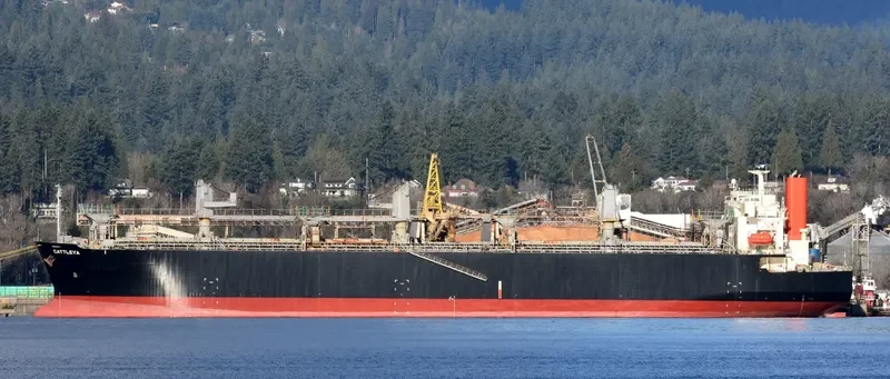CATTLEYA Bulk Carrier IMO 9370757 photo 9