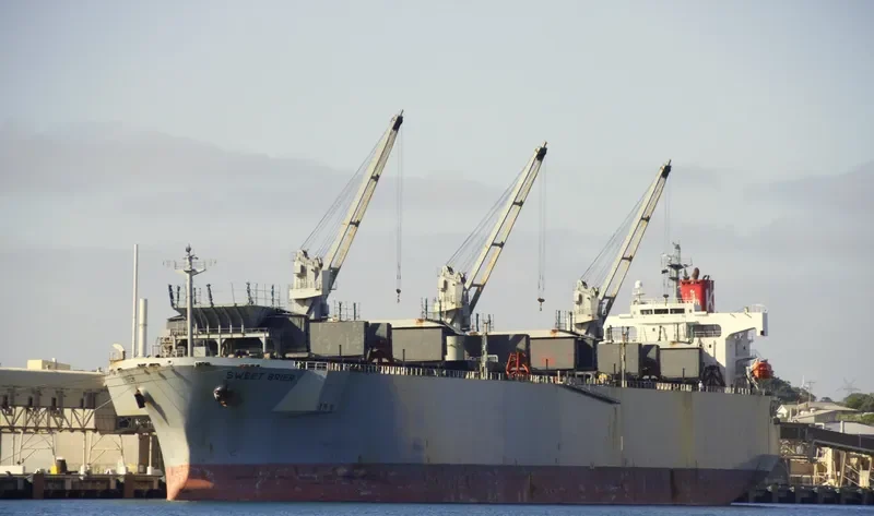AC HONGKONG Bulk Carrier IMO 9370795