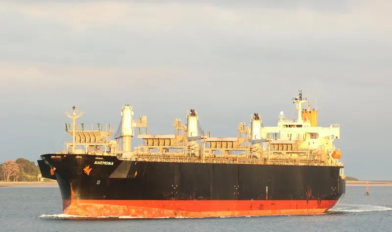 ANEMONA Bulk Carrier IMO 9370812