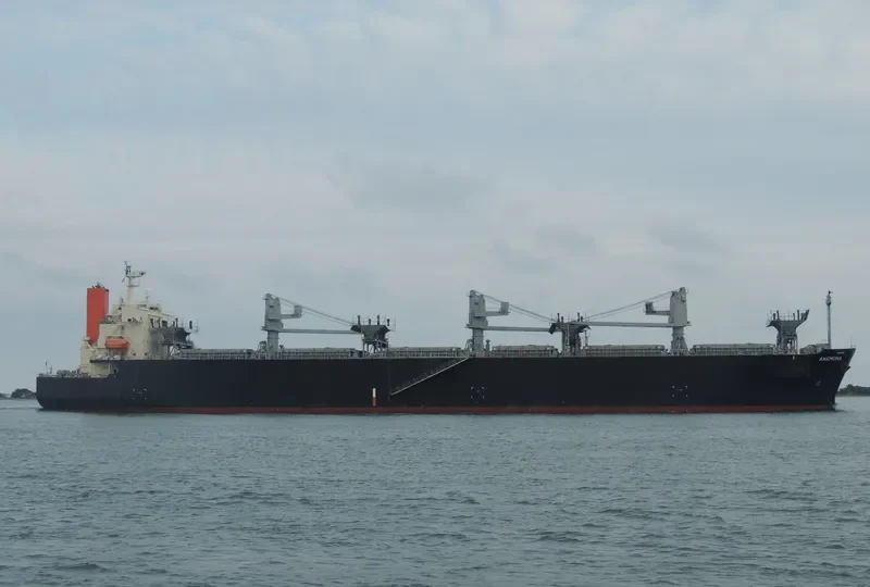 ANEMONA Bulk Carrier IMO 9370812 photo 6