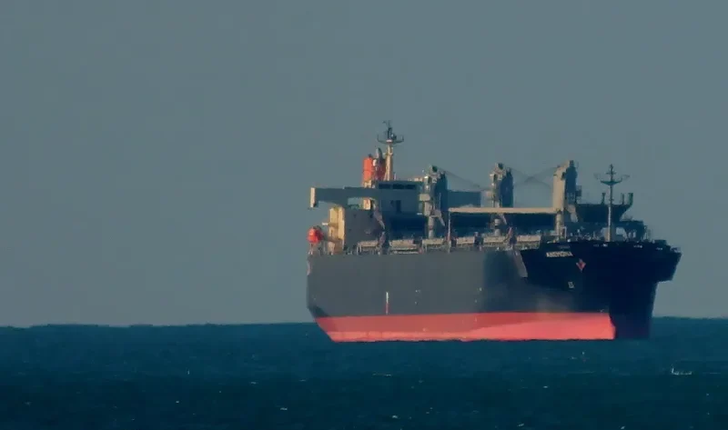 ANEMONA Bulk Carrier IMO 9370812 photo 8