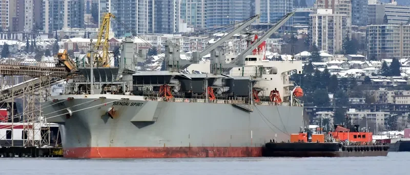 SENDAI SPIRIT Bulk Carrier IMO 9370824 photo 2
