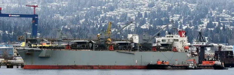 SENDAI SPIRIT Bulk Carrier IMO 9370824 photo 3