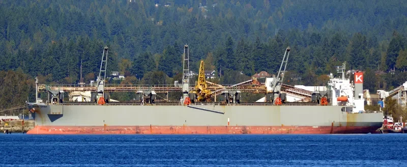 SENDAI SPIRIT Bulk Carrier IMO 9370824 photo 10