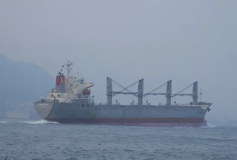 GLORIOUS FUTURE Bulk Carrier IMO 9370977 photo 5
