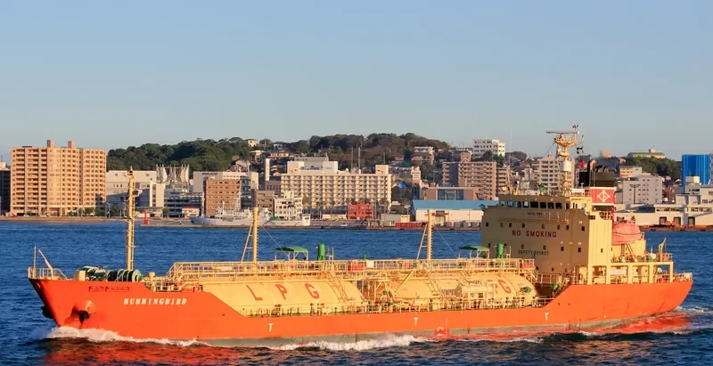 HUMMINGBIRD General Cargo IMO 9371165 photo 7