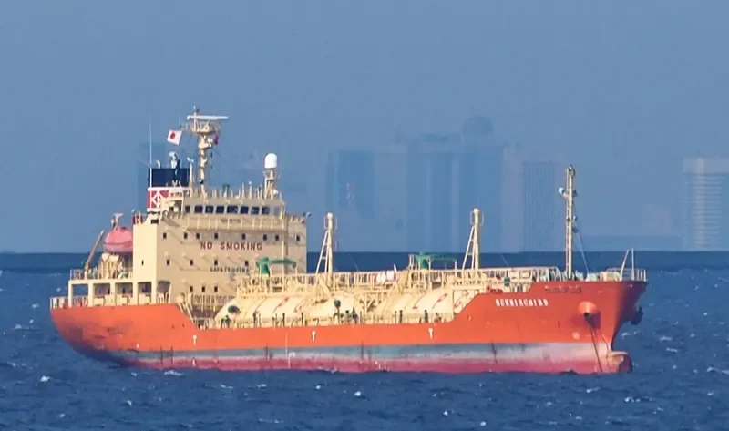 HUMMINGBIRD General Cargo IMO 9371165 photo 10