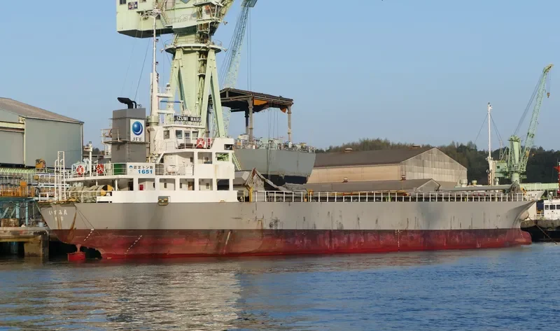 IZUMI MARU General Cargo IMO 9371220 photo 4