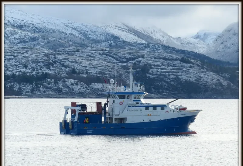 GUNNERUS General Cargo IMO 9371361 photo 3