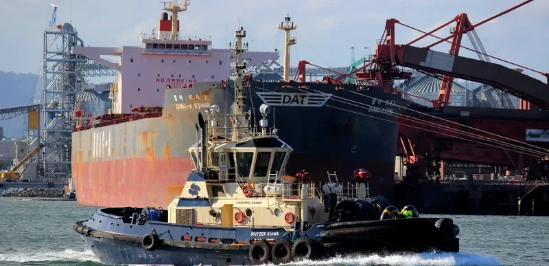 SVITZER KIAMA General Cargo IMO 9371737 photo 4