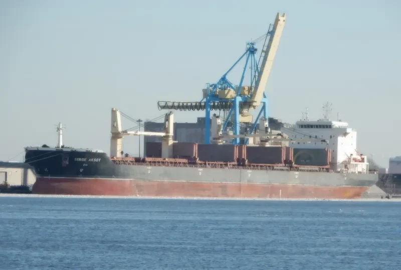 SIMGE AKSOY Bulk Carrier IMO 9373618
