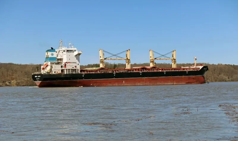 SIMGE AKSOY Bulk Carrier IMO 9373618 photo 3