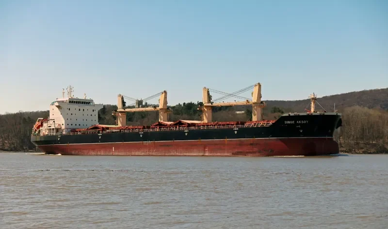 SIMGE AKSOY Bulk Carrier IMO 9373618 photo 4
