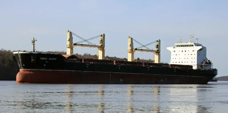 SIMGE AKSOY Bulk Carrier IMO 9373618 photo 6