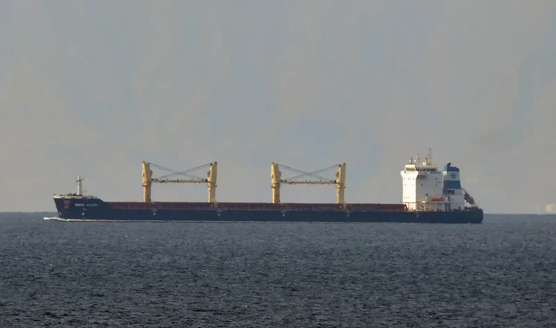 SIMGE AKSOY Bulk Carrier IMO 9373618 photo 8