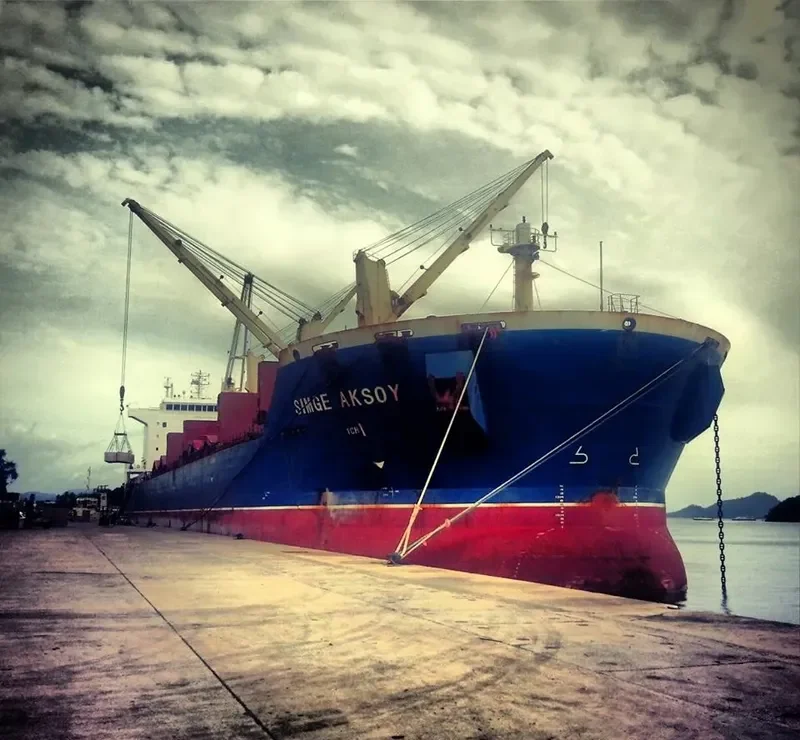 SIMGE AKSOY Bulk Carrier IMO 9373618 photo 9