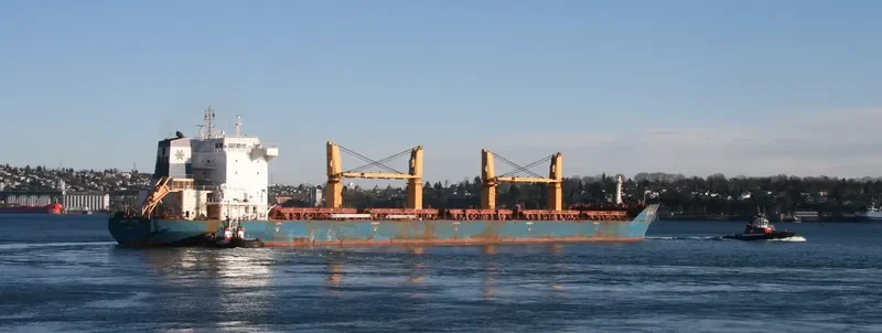 SIMGE AKSOY Bulk Carrier IMO 9373618 photo 10