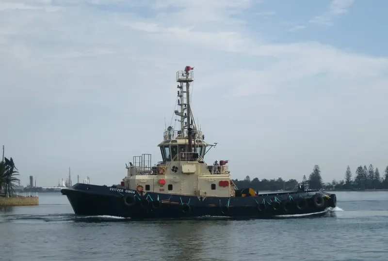 SVITZER GINGA General Cargo IMO 9373682 photo 3