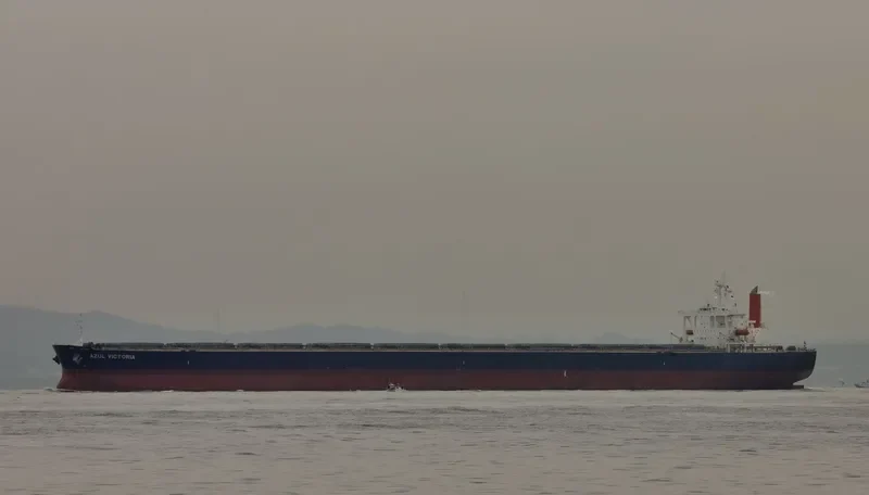 AZUL VICTORIA Bulk Carrier IMO 9374026 photo 2