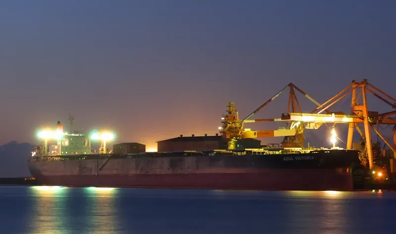 AZUL VICTORIA Bulk Carrier IMO 9374026 photo 3