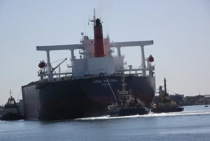 AZUL VICTORIA Bulk Carrier IMO 9374026 photo 6