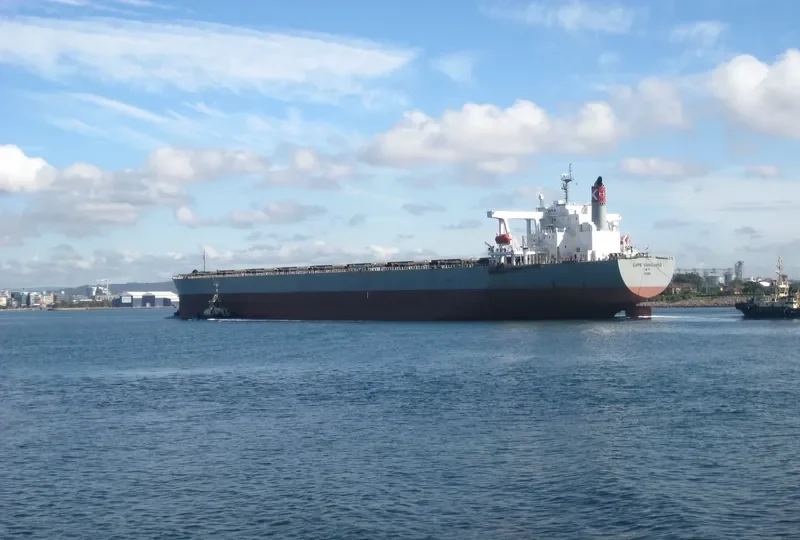 SAMC MG Bulk Carrier IMO 9374052
