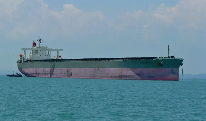 SAMC MG Bulk Carrier IMO 9374052 photo 6