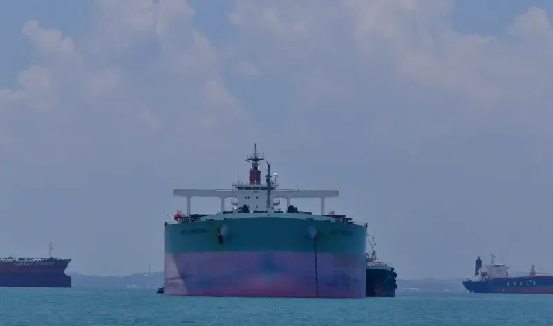 SAMC MG Bulk Carrier IMO 9374052 photo 7