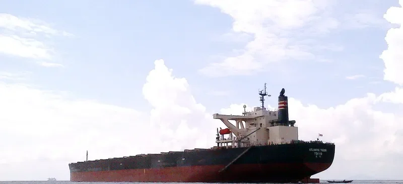 ATLANTIC TIGER Bulk Carrier IMO 9374064 photo 6