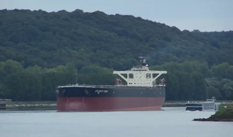 ATLANTIC TIGER Bulk Carrier IMO 9374064 photo 8