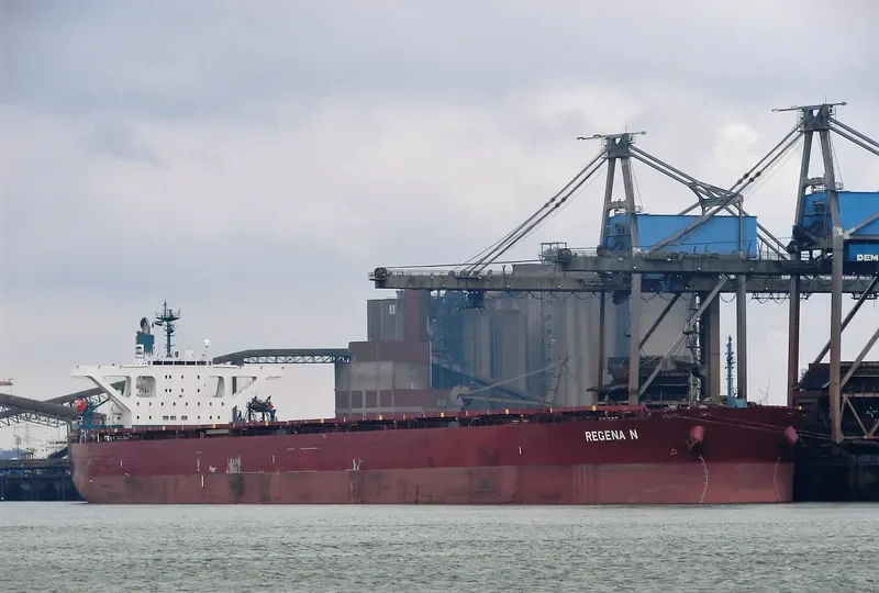 WINNING DILIGENCE Bulk Carrier IMO 9374088