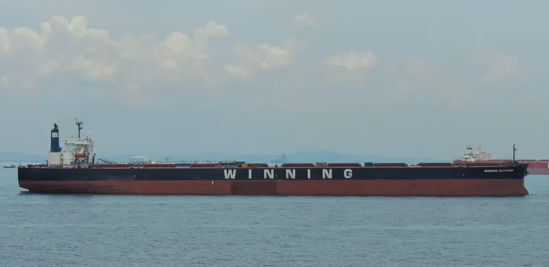 WINNING DILIGENCE Bulk Carrier IMO 9374088 photo 2