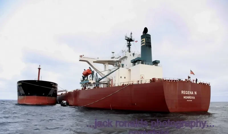 WINNING DILIGENCE Bulk Carrier IMO 9374088 photo 9
