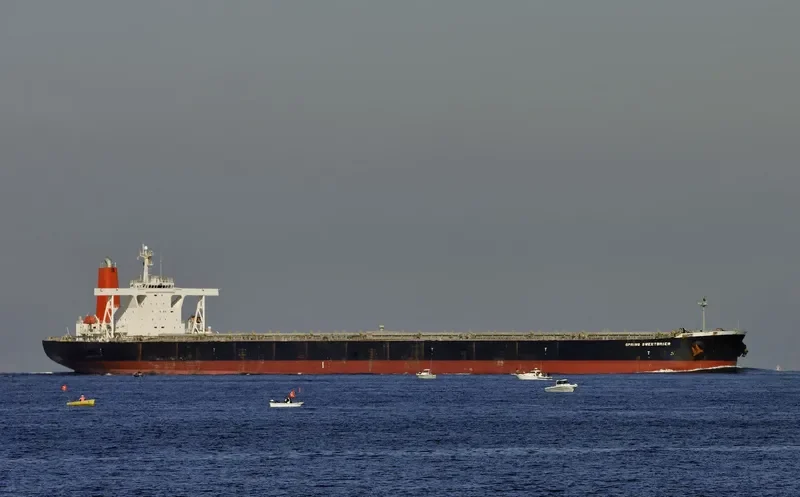 SPRING SWEETBRIER Bulk Carrier IMO 9374143 photo 2