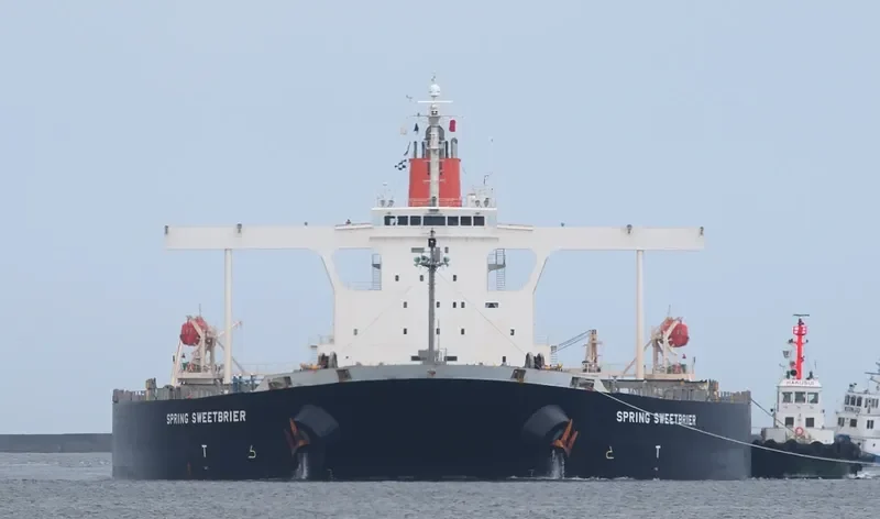 SPRING SWEETBRIER Bulk Carrier IMO 9374143 photo 4