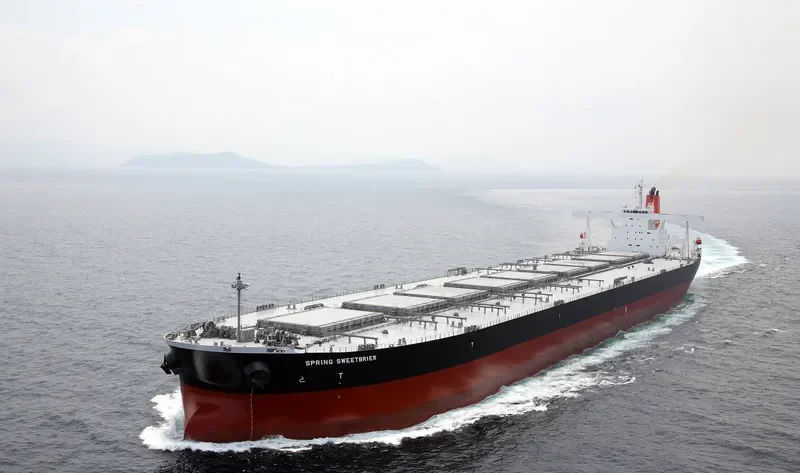 SPRING SWEETBRIER Bulk Carrier IMO 9374143 photo 6