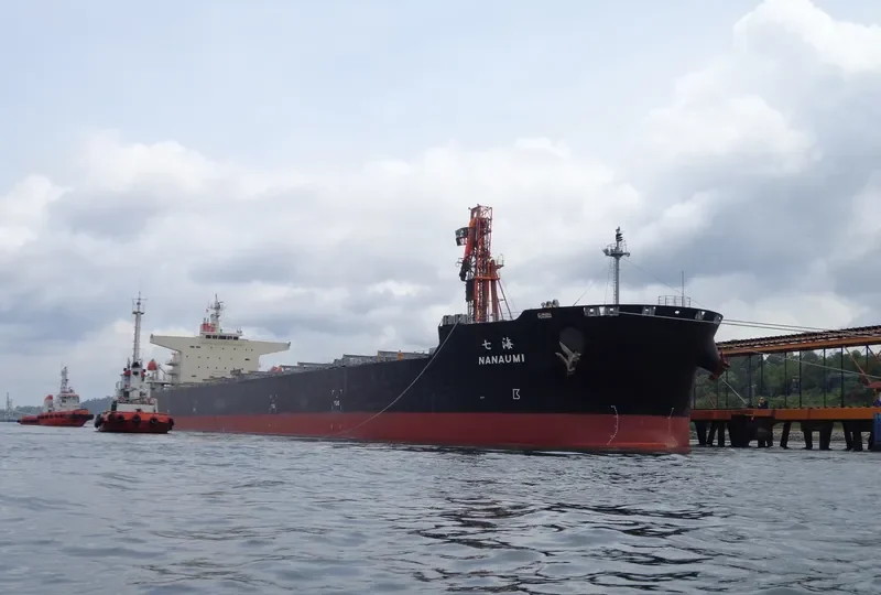 AURIGA OCEAN Bulk Carrier IMO 9374167 photo 4