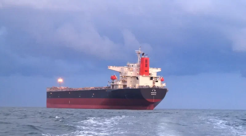 AURIGA OCEAN Bulk Carrier IMO 9374167 photo 7