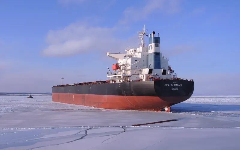 SEA DIAMOND Bulk Carrier IMO 9374181 photo 2