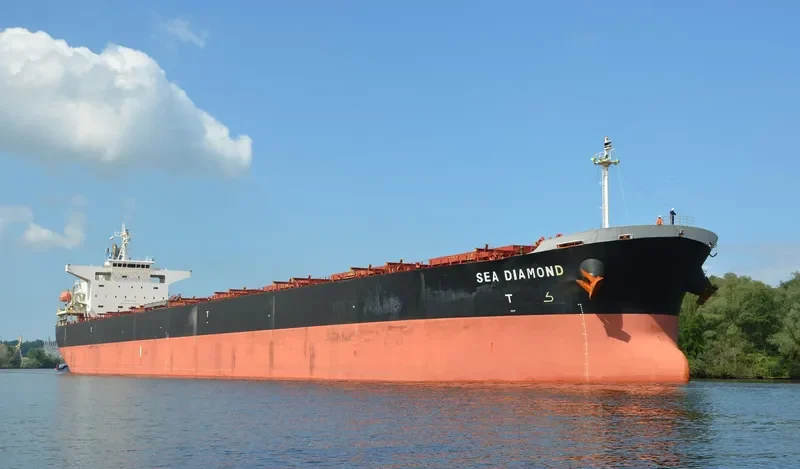 SEA DIAMOND Bulk Carrier IMO 9374181 photo 10