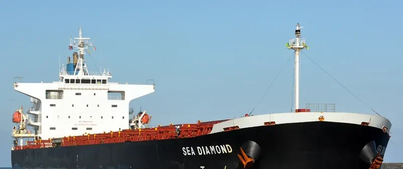 SEA DIAMOND Bulk Carrier IMO 9374181 photo 17