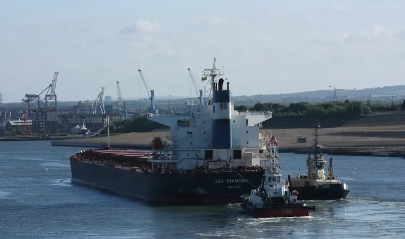 SEA DIAMOND Bulk Carrier IMO 9374181 photo 20