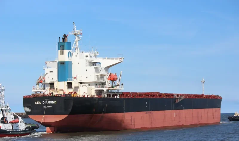 SEA DIAMOND Bulk Carrier IMO 9374181 photo 26