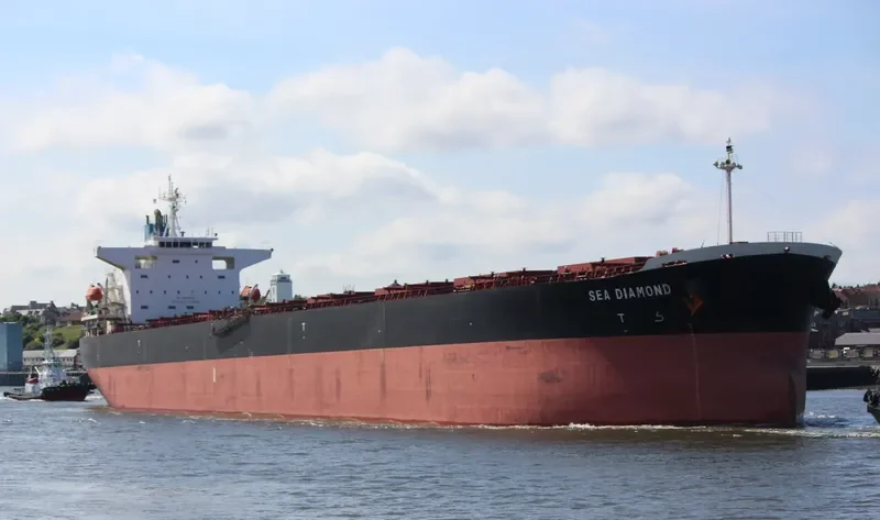 SEA DIAMOND Bulk Carrier IMO 9374181 photo 27