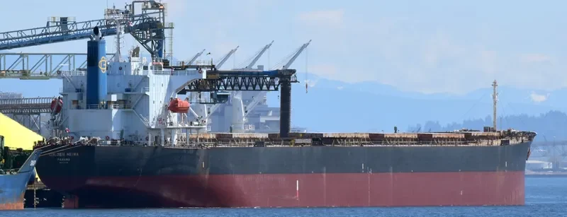 KONA TRADER Bulk Carrier IMO 9374208 photo 5