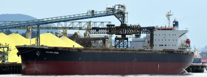 KONA TRADER Bulk Carrier IMO 9374208 photo 9